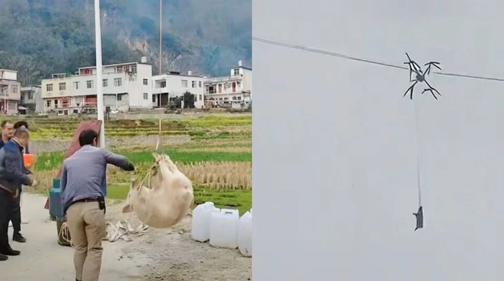 'Chở' heo bằng drone khiến cả thôn mất điện - Ảnh 1.