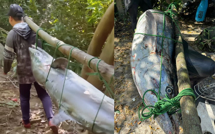 Nét văn hóa độc đáo, làng chài dong thuyền ra cửa biển cúng tạ ơn ngày cuối năm - Ảnh 2.