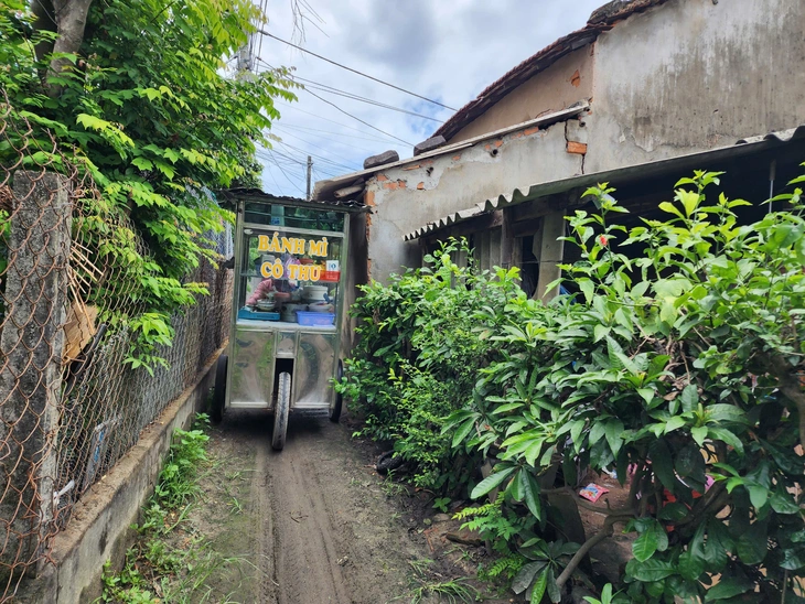 Công viên cây xanh Thạch Bích - Ảnh 2.