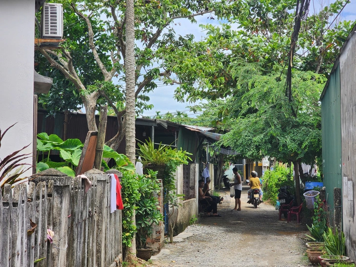 Công viên cây xanh Thạch Bích - Ảnh 3.