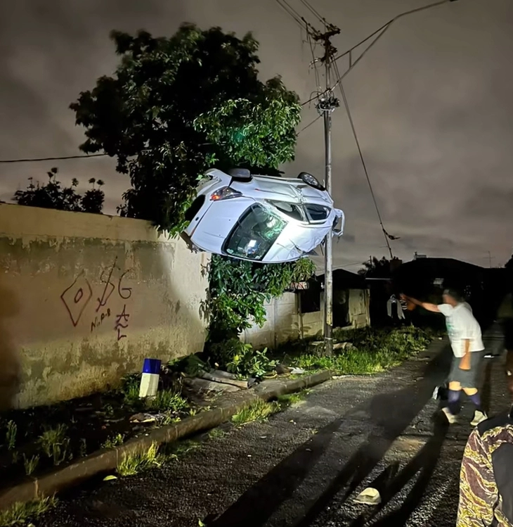 treo ngược - Ảnh 1.