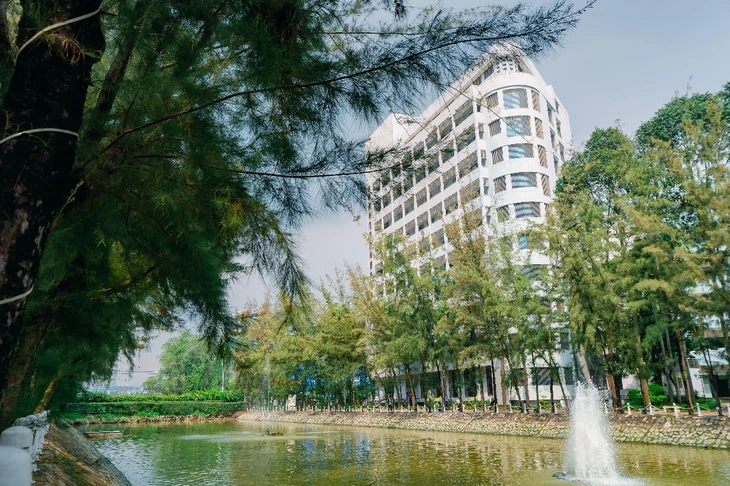 Trường đại học Tôn Đức Thắng mở thêm 15 ngành mới - Ảnh 4.