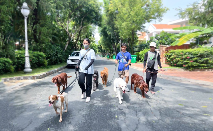 dắt chó - Ảnh 1.