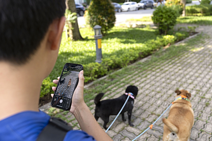 dắt chó - Ảnh 2.