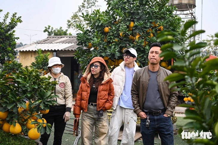 Hưng Yên sôi động cây cảnh Tết - Ảnh 6.