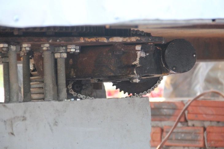 linh vật ngựa - Ảnh 5.