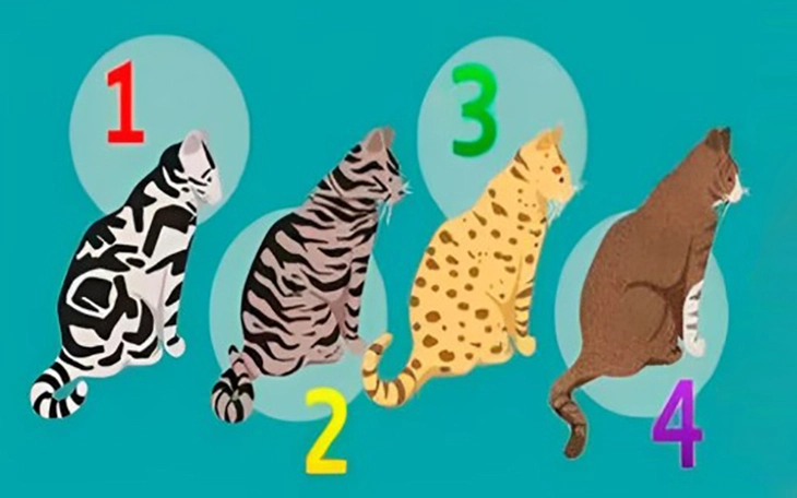 Quiz: Bạn có 'số giàu sang' không? - Ảnh 7.