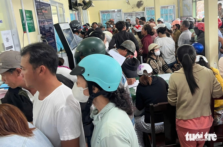 Người dân Vĩnh Long ùn ùn đổ xô đi xin giấy xác nhận nguồn gốc hoa, cây kiểng - Ảnh 2.