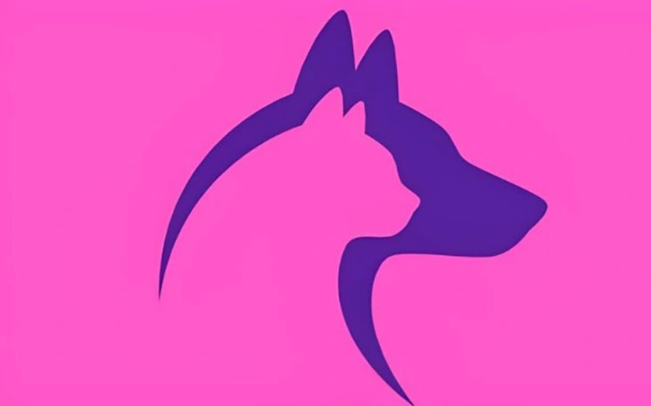 Quiz: Bạn có nhịp sống nhanh hay vừa phải? - Ảnh 3.