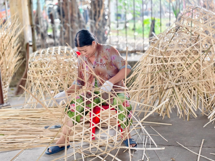 Xuân Thới Sơn - Ảnh 6.