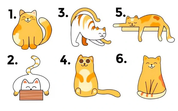 Quiz: Bạn có nhịp sống nhanh hay vừa phải? - Ảnh 2.