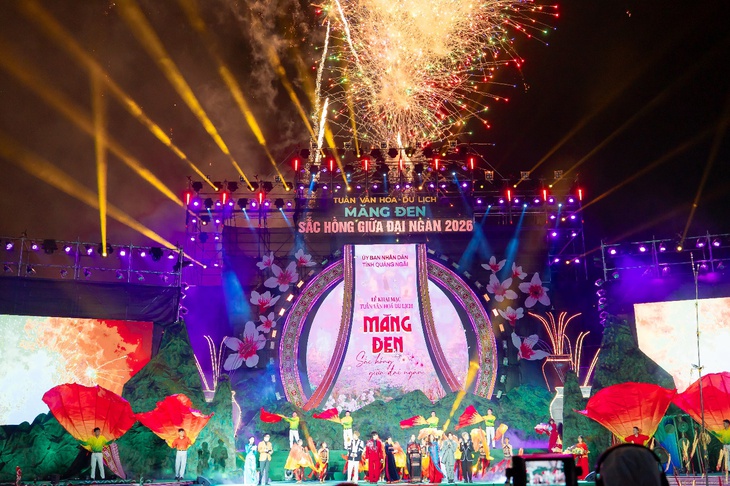 Quảng Ngãi - Ảnh 2.