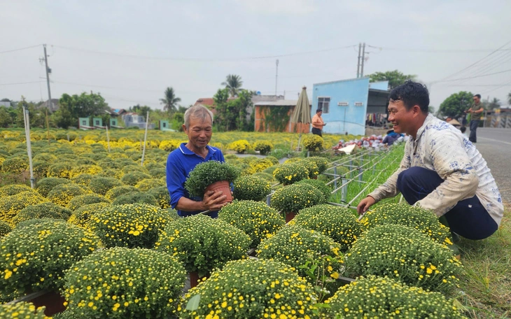 Người dân không cần phải đi xin giấy xác nhận nguồn gốc hoa, cây kiểng - Ảnh 4.
