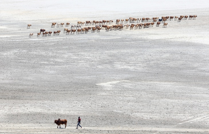 Tin tức thế giới 7-2: Mỹ trừng phạt Iran ngay sau đàm phán; Mexico gửi viện trợ nhân đạo cho Cuba - Ảnh 6.