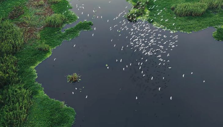 Secret Garden - Ảnh 5.