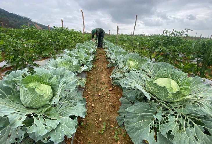 bộ đội - Ảnh 3.