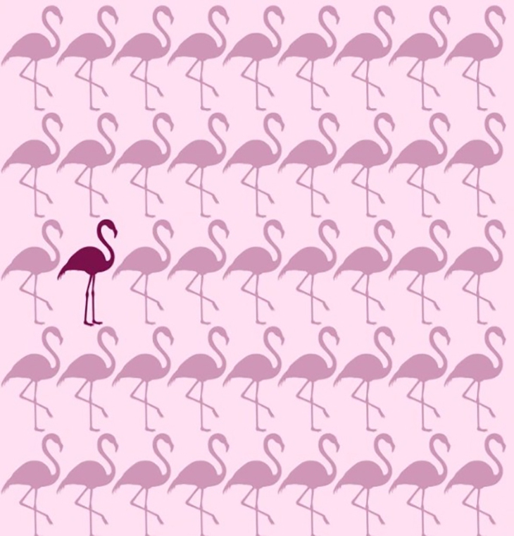 ẩn giấu - Ảnh 4.