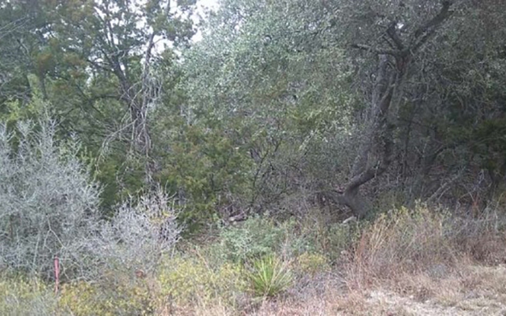 Ca dao phản ánh về sự phân biệt đối xử mẹ chồng nàng dâu này là gì? - Ảnh 3.