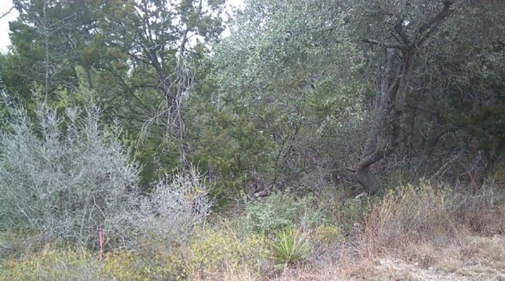 ẩn giấu - Ảnh 1.