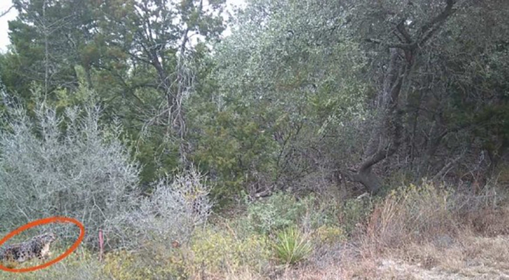 ẩn giấu - Ảnh 2.