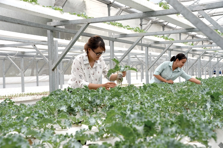 Việt Nam vững vàng hơn giữa biến động - Ảnh 7. Việt Nam vững vàng hơn giữa biến động - Ảnh 7.