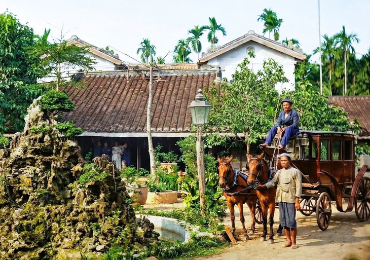 Từ ấy, người và ngựa thành đôi bạn - Ảnh 1. ngựa - Ảnh 1.