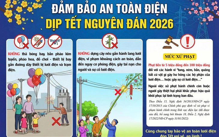Đảm bảo an toàn điện khi dựng cây nêu, trang trí đèn điện dịp Tết - Ảnh 3.