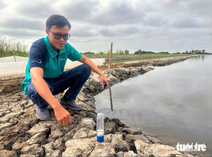 Nước mặn về sớm, nông dân nuôi tôm Miệt Thứ vội cải tạo ao tôm, 'vừa mừng vừa lo' - Ảnh 3.