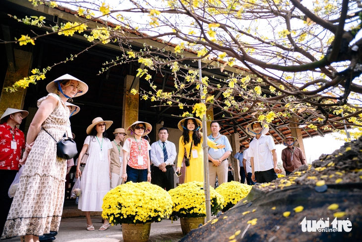 Tổng lãnh sự các nước du xuân, ấn tượng văn hóa Tết cổ truyền của Việt Nam - Ảnh 5.