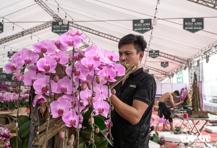 Lan hồ điệp ghép gỗ lũa giá vài chục triệu hút khách dịp Tết - Ảnh 2.