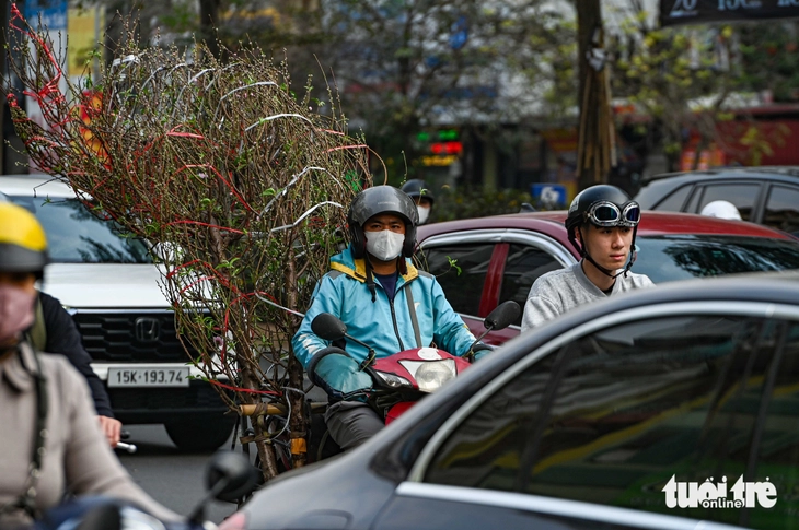 giáp tết - Ảnh 5.