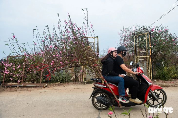 đào nhật tân - Ảnh 5.