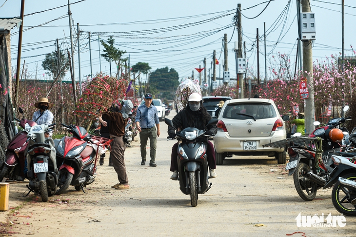 đào nhật tân - Ảnh 6.