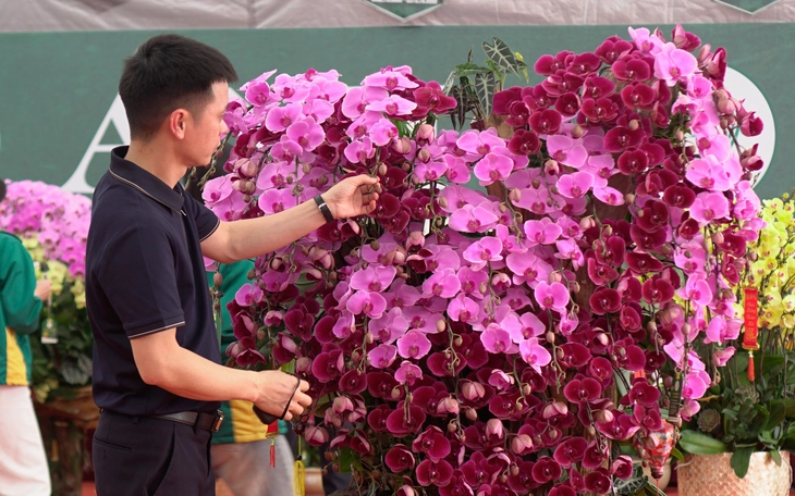 Sản vật tiến vua thành quà Tết - Ảnh 4.