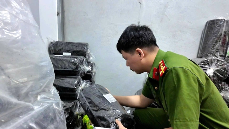 rong biển - Ảnh 2.