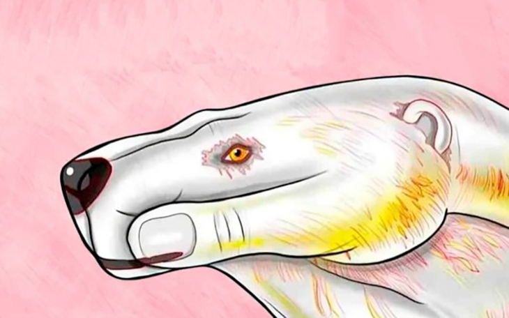 Quiz: Bạn được nhìn nhận là người khôn ngoan, chín chắn? - Ảnh 2.