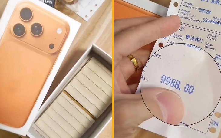 Cá vàng mất đầu vẫn bơi tung tăng suốt 2 tuần - Ảnh 2.