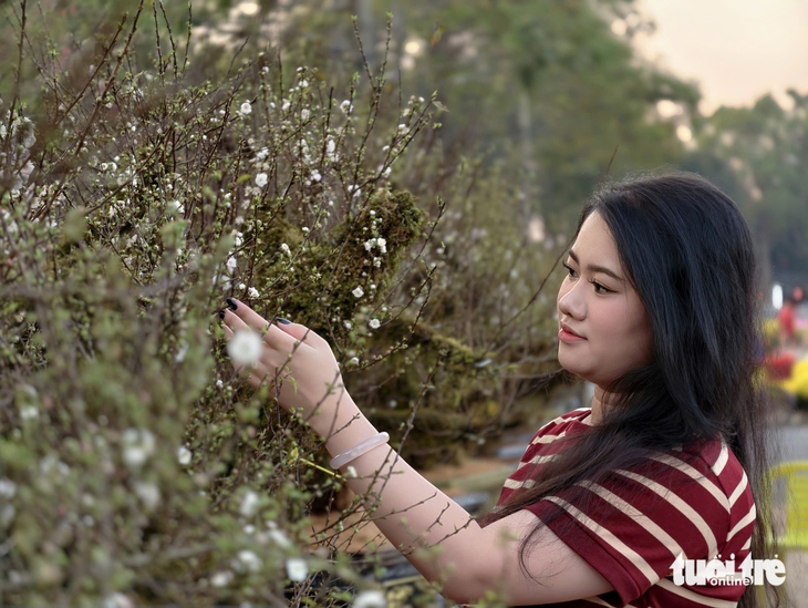 Nhất chi mai Sa Pa, đào Mộc Châu 'đổ bộ' chợ hoa xuân Buôn Ma Thuột - Ảnh 2.