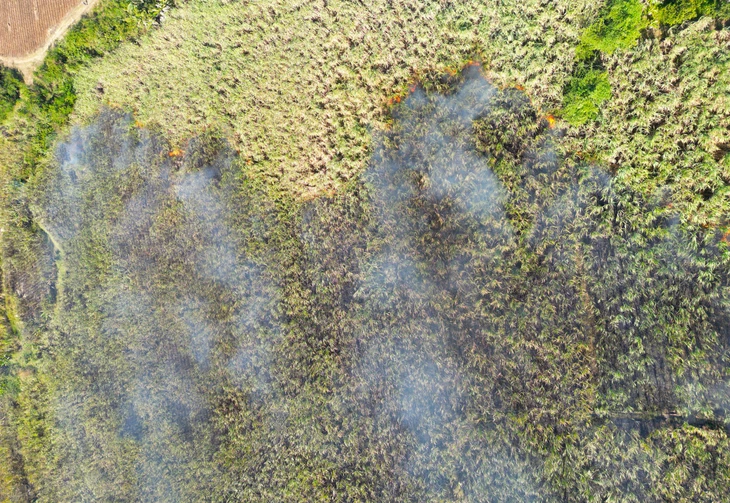 Ninh Sơn - Ảnh 2.