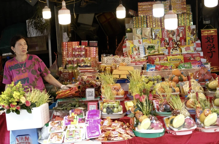 Phủ Tây Hồ - Ảnh 8.