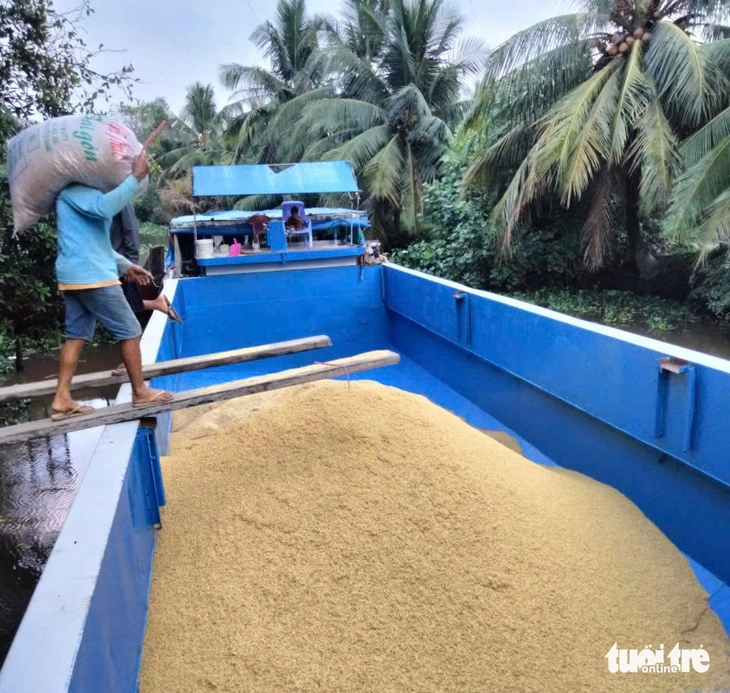 Hợp tác xã, tổ hợp tác 'tố' doanh nghiệp vì nợ tiền lúa nhiều tháng? - Ảnh 2.