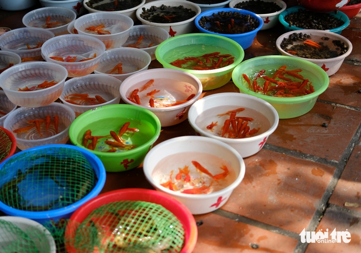 Phủ Tây Hồ đông đặc người trước rằm tháng giêng - Ảnh 10.