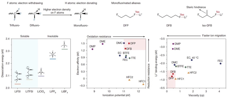 xe điện - Ảnh 2.