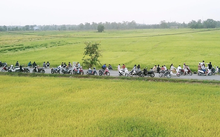  Du khách thích thú check-in với cầu cây gòn 'độc lạ' ở An Nhơn Tây, TP.HCM - Ảnh 11.