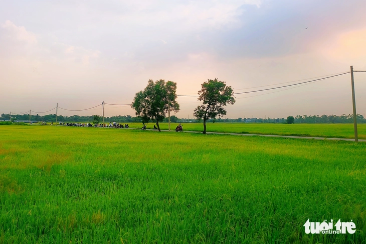 Xuân Thới Sơn - Ảnh 6.