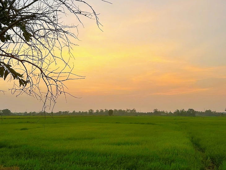 Xuân Thới Sơn - Ảnh 7.