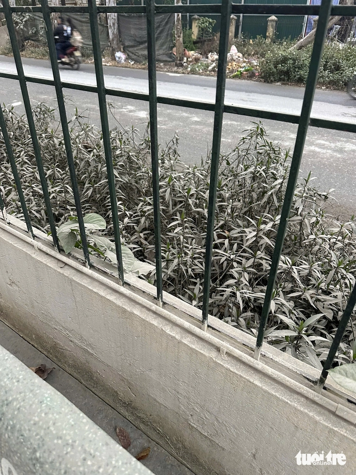 trạm trộn bê tông - Ảnh 3.