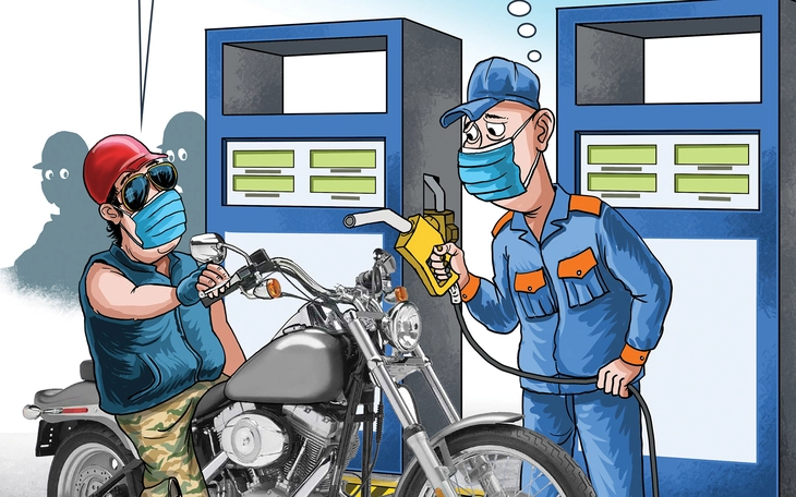 Cây mai 'hy sinh' vì giá xăng dầu - Ảnh 2.