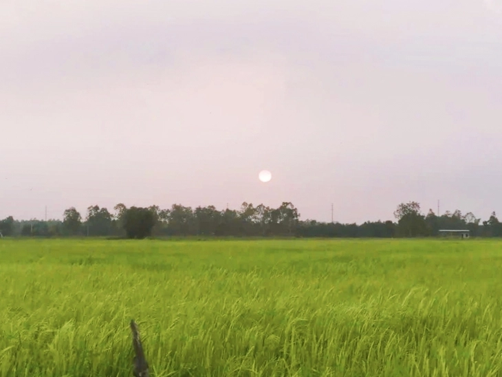 Xuân Thới Sơn - Ảnh 4.