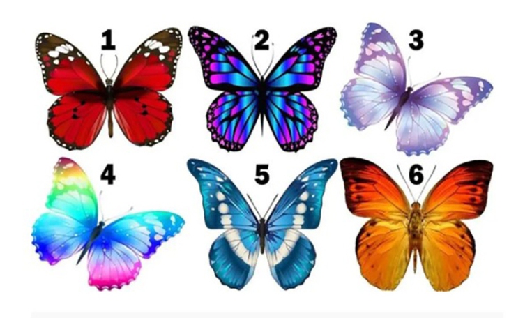 Quiz: Bạn là người cởi mở, hướng ngoại? - Ảnh 4.